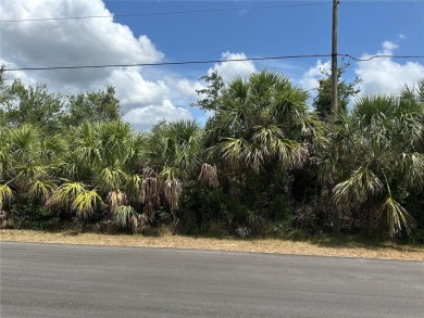 Build your dream home on this prime buildable lot located in the on Duffys Golf Center in Florida - for sale on GolfHomes.com, golf home, golf lot
