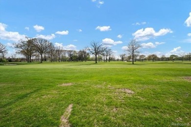 Experience refined living in this stately 6-bedroom, 3 on Detroit Golf Club  in Michigan - for sale on GolfHomes.com, golf home, golf lot