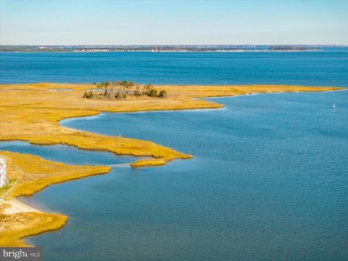 Discover waterfront living at its finest in this top floor, end on Bethany Bay Golf Club in Delaware - for sale on GolfHomes.com, golf home, golf lot