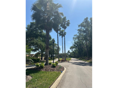 For sale is the largest remaining vacant lot inside of the on Imperial Lakes Country Club in Florida - for sale on GolfHomes.com, golf home, golf lot