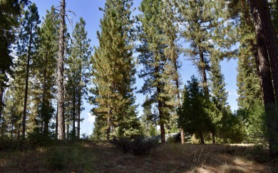 PERFECT SPOT FOR YOUR DREAM HOME!! The 3/4 acre lot is on Plumas Pines Golf Resort in California - for sale on GolfHomes.com, golf home, golf lot