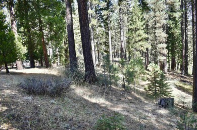 PERFECT SPOT FOR YOUR DREAM HOME!! The 3/4 acre lot is on Plumas Pines Golf Resort in California - for sale on GolfHomes.com, golf home, golf lot