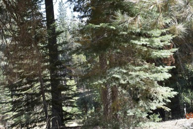 PERFECT SPOT FOR YOUR DREAM HOME!! The 3/4 acre lot is on Plumas Pines Golf Resort in California - for sale on GolfHomes.com, golf home, golf lot