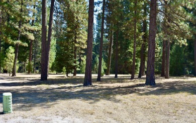 PERFECT SPOT FOR YOUR DREAM HOME!! The 3/4 acre lot is on Plumas Pines Golf Resort in California - for sale on GolfHomes.com, golf home, golf lot