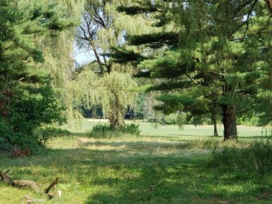 Take a look at this 1 acre parcel sitting on the 13th fairway of on Lake Doster Golf Club in Michigan - for sale on GolfHomes.com, golf home, golf lot