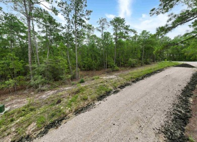 Unleash your lake life dreams with this exceptional opportunity on Rayburn Country Club in Texas - for sale on GolfHomes.com, golf home, golf lot