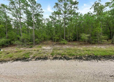 Unleash your lake life dreams with this exceptional opportunity on Rayburn Country Club in Texas - for sale on GolfHomes.com, golf home, golf lot