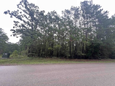 Unleash your lake life dreams with this exceptional opportunity on Rayburn Country Club in Texas - for sale on GolfHomes.com, golf home, golf lot