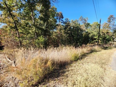 Build your dream home and immerse yourself in the natural beauty on Bella Vista Country Club - Highlands in Arkansas - for sale on GolfHomes.com, golf home, golf lot