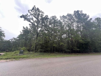 Unleash your lake life dreams with this exceptional opportunity on Rayburn Country Club in Texas - for sale on GolfHomes.com, golf home, golf lot