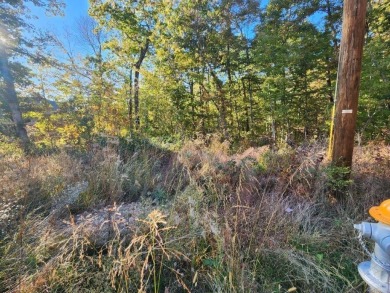 Build your dream home and immerse yourself in the natural beauty on Bella Vista Country Club - Highlands in Arkansas - for sale on GolfHomes.com, golf home, golf lot