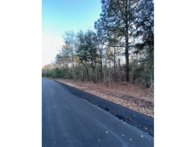 Beautiful lot for building with 530 feet frontage on Fairway on Sweetwater Country Club in South Carolina - for sale on GolfHomes.com, golf home, golf lot