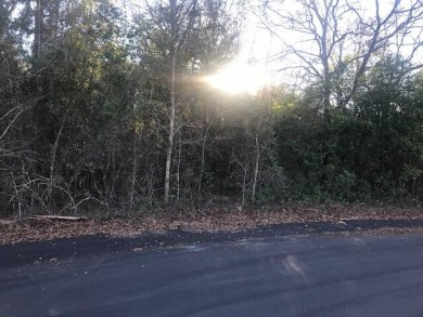 Beautiful lot for building with 530 feet frontage on Fairway on Sweetwater Country Club in South Carolina - for sale on GolfHomes.com, golf home, golf lot