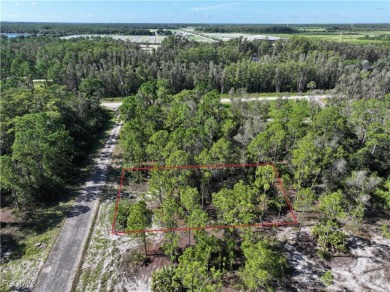 SELLER FINANCING OFFERED! Affordable, buildable lot just minutes on Mirror Lakes Golf Club in Florida - for sale on GolfHomes.com, golf home, golf lot