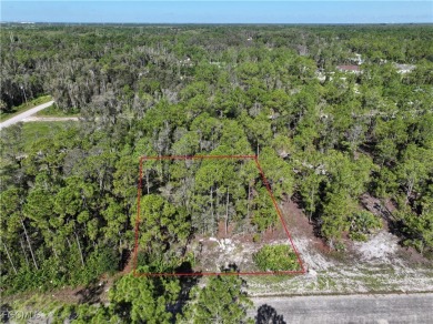 SELLER FINANCING OFFERED! Affordable, buildable lot just minutes on Mirror Lakes Golf Club in Florida - for sale on GolfHomes.com, golf home, golf lot