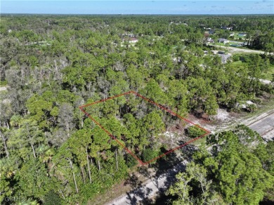SELLER FINANCING OFFERED! Affordable, buildable lot just minutes on Mirror Lakes Golf Club in Florida - for sale on GolfHomes.com, golf home, golf lot