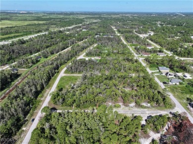 SELLER FINANCING OFFERED! Affordable, buildable lot just minutes on Mirror Lakes Golf Club in Florida - for sale on GolfHomes.com, golf home, golf lot