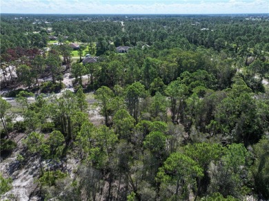 SELLER FINANCING OFFERED! Affordable, buildable lot just minutes on Mirror Lakes Golf Club in Florida - for sale on GolfHomes.com, golf home, golf lot