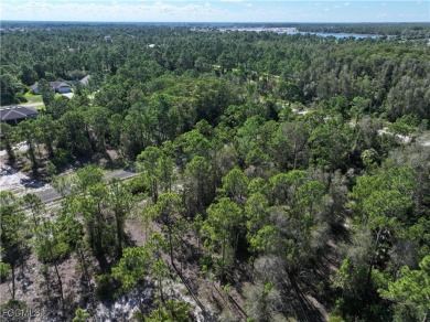 SELLER FINANCING OFFERED! Affordable, buildable lot just minutes on Mirror Lakes Golf Club in Florida - for sale on GolfHomes.com, golf home, golf lot
