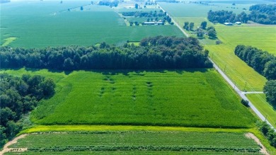 Super versatile acreage! Currently leased 16 acres of tillable on Spring Hills Golf Course in Indiana - for sale on GolfHomes.com, golf home, golf lot