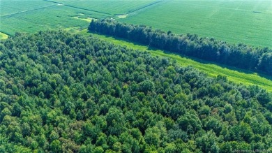 Super versatile acreage! Currently leased 16 acres of tillable on Spring Hills Golf Course in Indiana - for sale on GolfHomes.com, golf home, golf lot