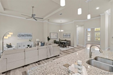 Enjoy incredible savings and move into a like-new home-without on Skyview At Terra Vista Golf and Country Club in Florida - for sale on GolfHomes.com, golf home, golf lot