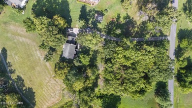 Set on a lush, green lot in the heart of Baneberry, this warm on Baneberry Golf and Resort Club in Tennessee - for sale on GolfHomes.com, golf home, golf lot