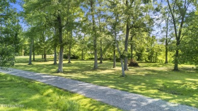 Set on a lush, green lot in the heart of Baneberry, this warm on Baneberry Golf and Resort Club in Tennessee - for sale on GolfHomes.com, golf home, golf lot