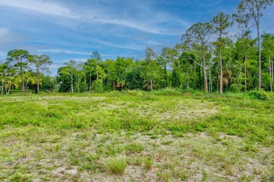 Rare opportunity to own and design a brand new home by L&L on  in Florida - for sale on GolfHomes.com, golf home, golf lot