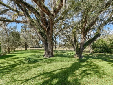 One-of-a-kind setting: gorgeous & renovated 4 bedroom & 4 1/2 on Golden Ocala Golf and Equestrian Club in Florida - for sale on GolfHomes.com, golf home, golf lot
