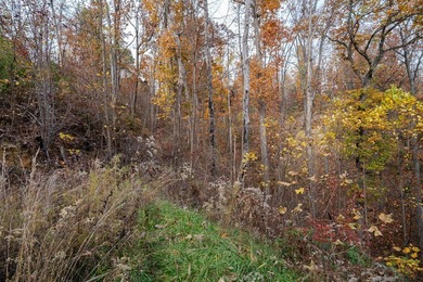 This .73 acre lot nestled within the coveted Cobbly Knob on Bent Creek Golf Course in Tennessee - for sale on GolfHomes.com, golf home, golf lot