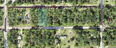 Come build your forever home on this half acre lot that located on Indian Lake Estates Golf and Country Club in Florida - for sale on GolfHomes.com, golf home, golf lot