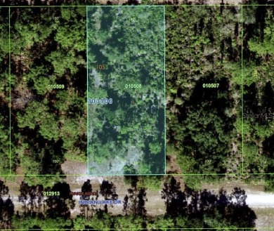 Come build your forever home on this half acre lot that located on Indian Lake Estates Golf and Country Club in Florida - for sale on GolfHomes.com, golf home, golf lot