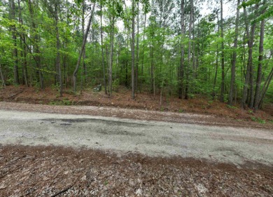Buildable lot on 0.31 acres in Rayburn Country. The lot includes on Rayburn Country Club in Texas - for sale on GolfHomes.com, golf home, golf lot
