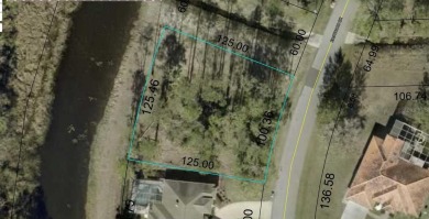 Under contract-accepting backup offers. Oversized, freshwater on The Grand Club Cypress Course in Florida - for sale on GolfHomes.com, golf home, golf lot