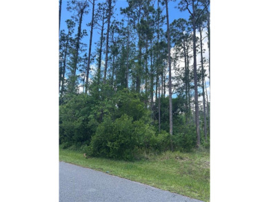 Under contract-accepting backup offers. Oversized, freshwater on The Grand Club Cypress Course in Florida - for sale on GolfHomes.com, golf home, golf lot