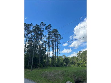 Under contract-accepting backup offers. Oversized, freshwater on The Grand Club Cypress Course in Florida - for sale on GolfHomes.com, golf home, golf lot