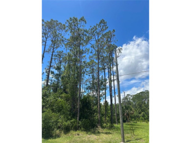 Under contract-accepting backup offers. Oversized, freshwater on The Grand Club Cypress Course in Florida - for sale on GolfHomes.com, golf home, golf lot