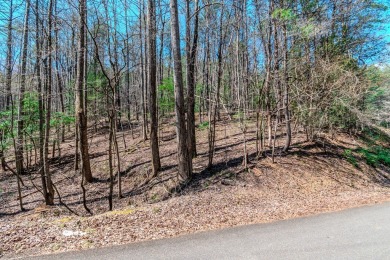 Are you ready to build your dream home in the North GA on White Path Golf Club in Georgia - for sale on GolfHomes.com, golf home, golf lot