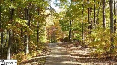 BACK ON THE MARKET ! Now is the time to buy land! The leaves on The Clubs at Cherokee Valley Golf Course in South Carolina - for sale on GolfHomes.com, golf home, golf lot