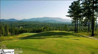 BACK ON THE MARKET ! Now is the time to buy land! The leaves on The Clubs at Cherokee Valley Golf Course in South Carolina - for sale on GolfHomes.com, golf home, golf lot