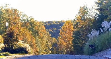 BACK ON THE MARKET ! Now is the time to buy land! The leaves on The Clubs at Cherokee Valley Golf Course in South Carolina - for sale on GolfHomes.com, golf home, golf lot