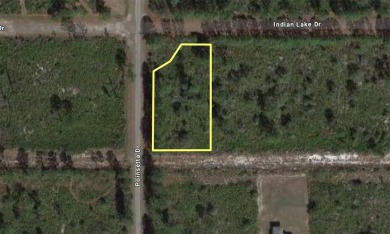 Come build your forever home on this one-half acre lot located on Indian Lake Estates Golf and Country Club in Florida - for sale on GolfHomes.com, golf home, golf lot