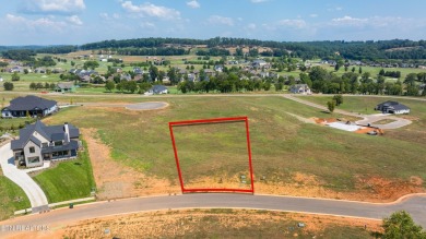 Don't miss this incredible Opportunity to own in the Prestigious on Tennessee National Golf Club in Tennessee - for sale on GolfHomes.com, golf home, golf lot