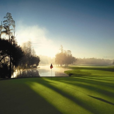 Under contract-accepting backup offers. DELUXE EXECUTIVE SUITE on Innisbrook Resort and Golf Club in Florida - for sale on GolfHomes.com, golf home, golf lot