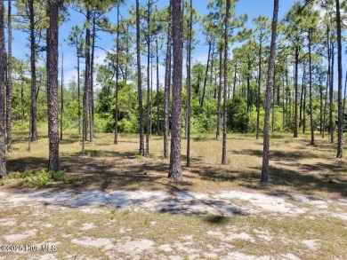 Build your dream home on this beautiful .61-acre wooded lot in on Members Club At St. James Plantation in North Carolina - for sale on GolfHomes.com, golf home, golf lot