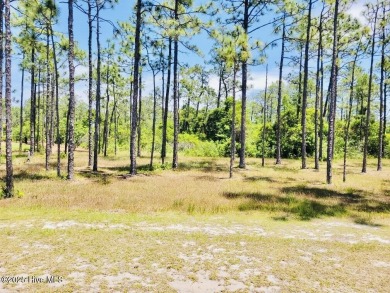 Build your dream home on this beautiful .61-acre wooded lot in on Members Club At St. James Plantation in North Carolina - for sale on GolfHomes.com, golf home, golf lot
