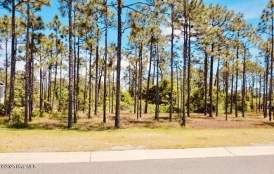 Build your dream home on this beautiful .61-acre wooded lot in on Members Club At St. James Plantation in North Carolina - for sale on GolfHomes.com, golf home, golf lot