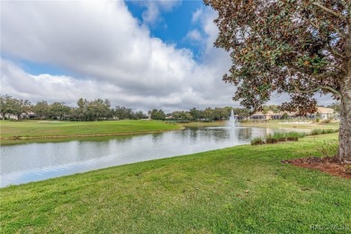 Welcome home to the Amazing Lifestyle that Terra Vista offers! on Skyview At Terra Vista Golf and Country Club in Florida - for sale on GolfHomes.com, golf home, golf lot