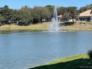 Welcome home to the Amazing Lifestyle that Terra Vista offers! on Skyview At Terra Vista Golf and Country Club in Florida - for sale on GolfHomes.com, golf home, golf lot